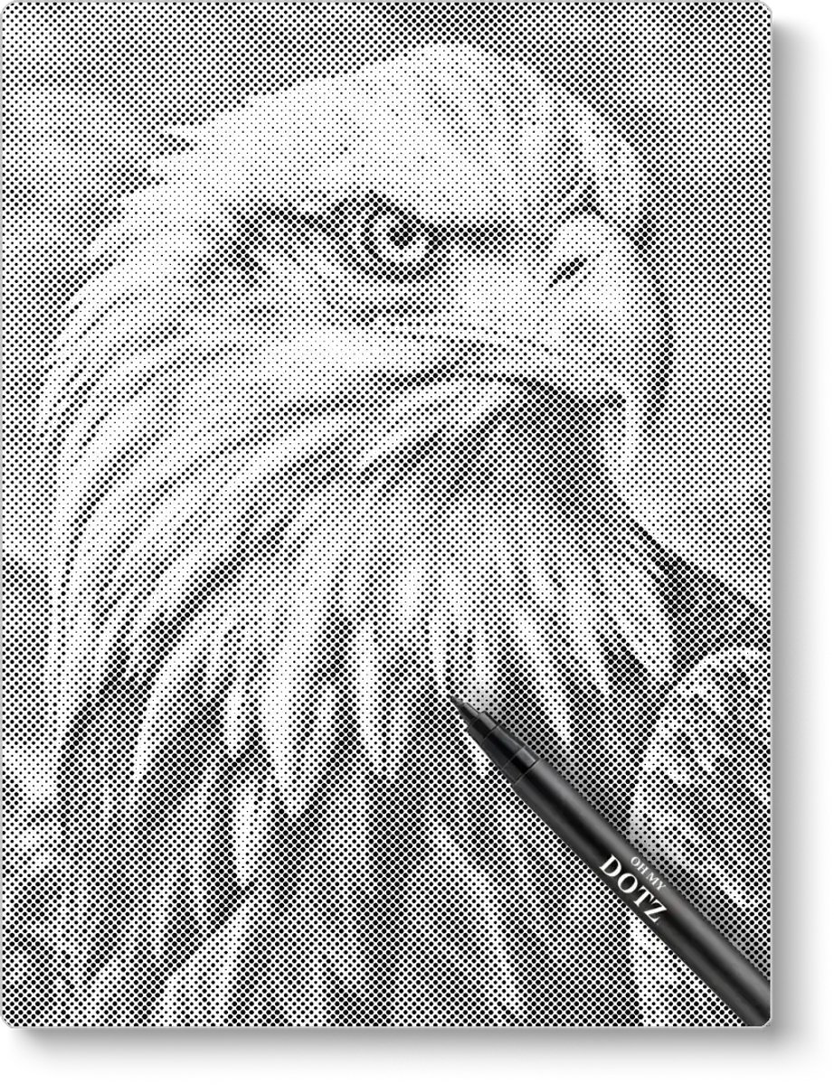 Adelaar | Stippelschilderij | 40x50cm | Dot painting | Oh My Dotz | Dots stippen | Diamond painting & Schilderen op nummer alternatief | Sinterklaas | Kerst